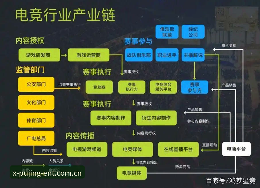 新京娱乐平台电竞赛事体系全面解析：从赛程追踪到数据服务的完整生态